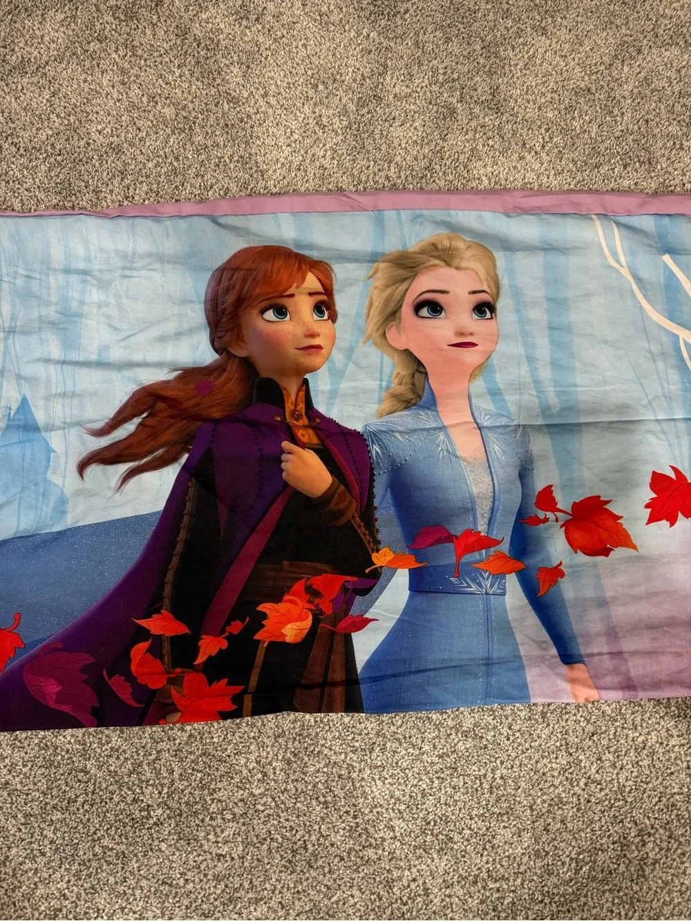 Disney Frozen Body Pillow case 20in x 50in